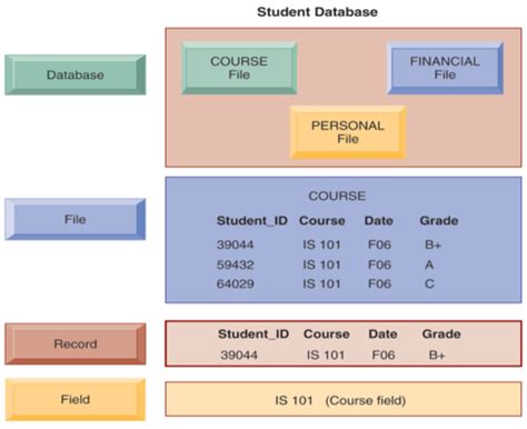 a smart id card is something the user quizlet|CH 4 MIS 301 .